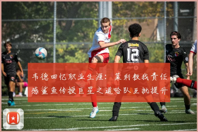 韦德回忆职业生涯：莱利教我责任感鲨鱼传授巨星之道哈队互批提升自我