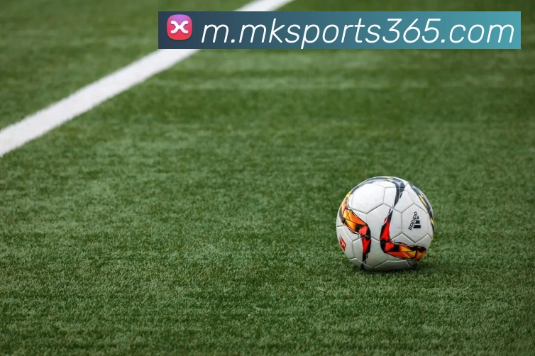 App Interface Preview